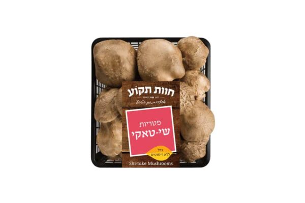 שיטאקי