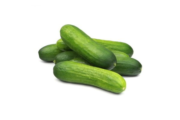 מלפפון מיני