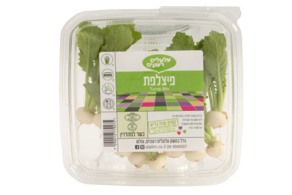 ⁦פיצלפת⁩ – תמונה ⁦2⁩