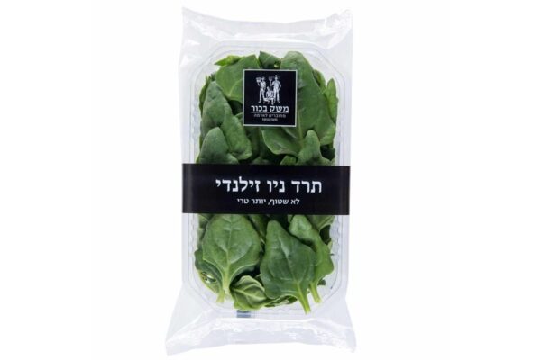⁦תרד⁩ – תמונה ⁦2⁩