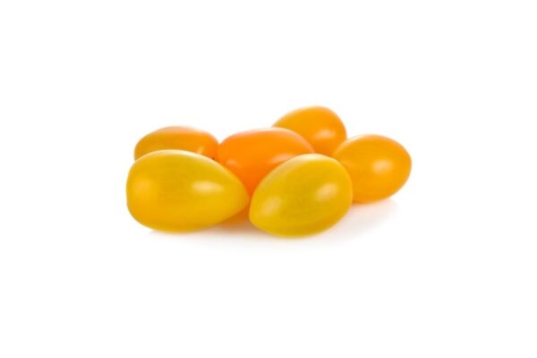 ⁦עגבניות שרי בכל הצבעים⁩ – תמונה ⁦5⁩